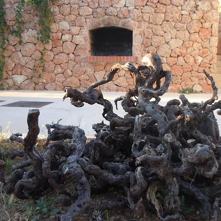 Sveta Nedilja 13753b Hvar Town